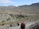 photo thumbnail #4