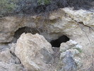 Featured Detail Photo