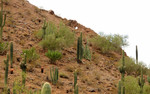 photo thumbnail #7