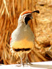 photo thumbnail #14