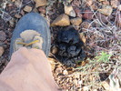photo thumbnail #5