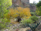 photo thumbnail #5