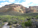 photo thumbnail #4