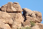photo thumbnail #1