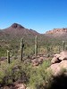 photo thumbnail #10