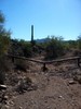 photo thumbnail #11