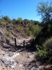 photo thumbnail #13