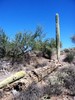 photo thumbnail #14