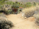 photo thumbnail #5
