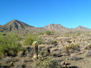 photo thumbnail #6