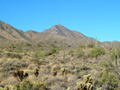 photo thumbnail #7