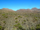 photo thumbnail #9