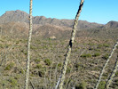 photo thumbnail #13