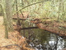 photo thumbnail #8
