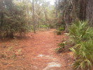 photo thumbnail #12