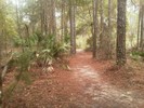 photo thumbnail #14