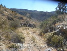 photo thumbnail #15