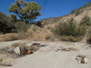 photo thumbnail #12