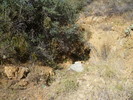 photo thumbnail #8