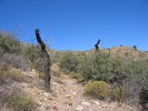photo thumbnail #10