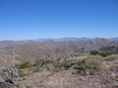 photo thumbnail #15