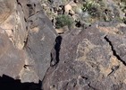 photo thumbnail #14