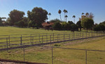 photo thumbnail #8
