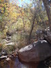 photo thumbnail #10