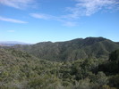 photo thumbnail #15