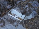 photo thumbnail #3