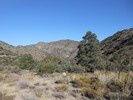 photo thumbnail #9