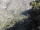 Featured Detail Photo