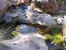 photo thumbnail #13