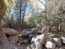 photo thumbnail #14