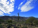 photo thumbnail #10