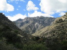 photo thumbnail #9