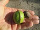 photo thumbnail #12
