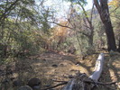 photo thumbnail #8