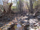 photo thumbnail #10