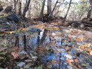 photo thumbnail #11