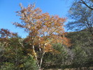 photo thumbnail #14