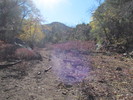 photo thumbnail #15