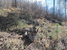 2013-11-03 :1: Pine Mountain Verde Rim Loop :: Uberdroog