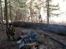 recent photo