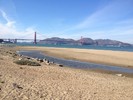 photo thumbnail #12