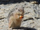 photo thumbnail #1