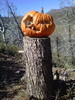 photo thumbnail #1