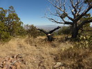 photo thumbnail #11