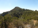 photo thumbnail #12