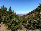 photo thumbnail #7